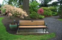 A-Bench-With-A-View-Webinar-Preview